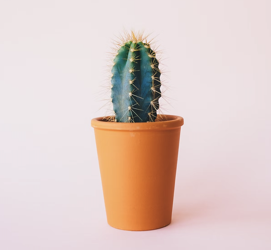 Test 01 Blog